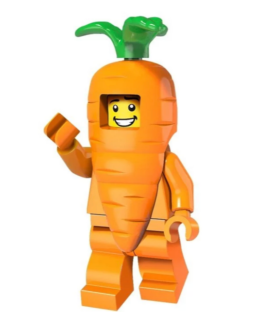 Carrot Man (Carrot Guy) Series Cartoon Lego Compatible Minifigure Toys